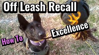 Mastering the Basics of Off Leash Recall dogtraining [upl. by Rena]