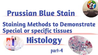 Prussian Blue Stain ll Staining Methods to Demonstrate Special or specific tissues ll Histopathology [upl. by Nnylacissej]