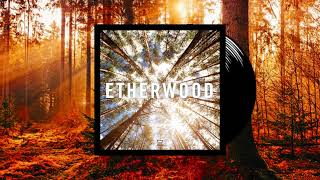 Etherwood Album Continuous Mix  Beautiful Liquid Drum n Bass [upl. by Aseen]