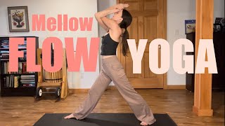 All Levels Slow Flow Yoga  15 Minute Practice [upl. by Glenine967]