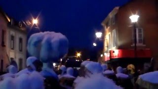 Carnaval de Gerpinnes 2016 26 [upl. by Ciprian954]