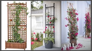 Climbing Blossoms Creative Outdoor Trellis Ideas [upl. by Simaj]