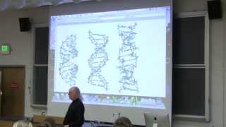 15 Biochemistry Lecture DNA Structure and Replication from Kevin Aherns BB 350 [upl. by Geraint]