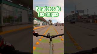 Paraderos de las Orugas en el Blvd Hidalgo de Leonguanajuato noecillo ciclismourbano [upl. by Ikcir7]