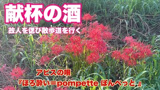 献杯の酒 アビスの唄『ほろ酔い＝pompette （ぽんぺっと ）』 故人を偲び散歩道を行く [upl. by Eceirtal]