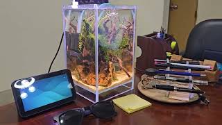 Desktop mini Aquarium  টেবিলটপ মিনি একুয়ারিয়াম [upl. by Bensen]