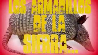 los armadillos de la sierra ♣♣ Enrique galarza♣♣ [upl. by Winchester868]