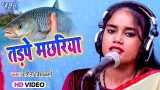 Video  तड़पे मछरिया Ragani Vishwakarma का सुपरहिट Bhojpuri Song  Tadpe Machariya [upl. by Ettezzus155]