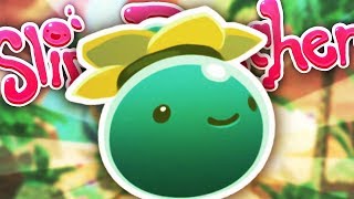 TODOS LOS SLIMES  Slime Rancher 16 [upl. by Eat289]