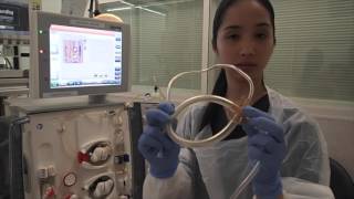 Setting up a Haemodialysis Machine Fresenius 5008 [upl. by Blanchette643]