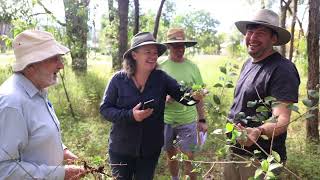 Wollombi Brook Riparian Rehabilitation Project Broke NSW [upl. by Oluap537]