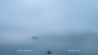 Labs Cloud  In the fog [upl. by Greenstein]