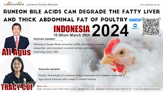 Indonesia Poultry TalksBile Acids Help Degrade Fatty Liver and Abdominal FatProf Ali Agus [upl. by Nohs651]