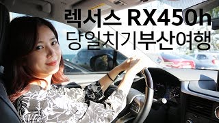 렉서스 RX450h와 함께한 당일치기 부산여행 [upl. by Oeflein902]