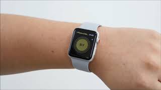 watchOS 5の「トランシーバー」で話してみた [upl. by Aiyekal]