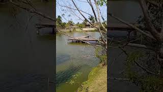 Belíssima lagoa para um piquenique vidanatural meioambiente [upl. by Garihc]