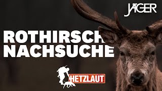 Hetzlaut 14 km Hetze auf Rothirsch  JÄGER Nachsuchen mit Chris Balke [upl. by Sucerdor289]