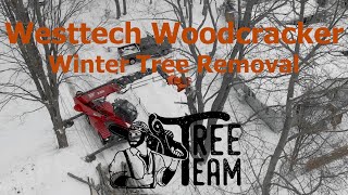 Winter Snow Tree Removal  Tree Team TV  Magni Crane  Westtech Woodcracker  Best Tree Removal [upl. by Latsirc]