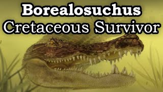 Borealosuchus The Crocodilian That Outlived The Dinosaurs [upl. by Yenterb354]