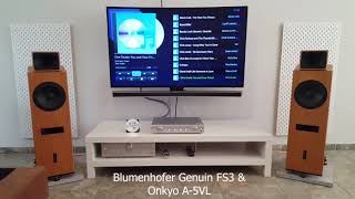 Blumenhofer Genuin FS3 vs Focal Chorus 826 W [upl. by Edmondo751]