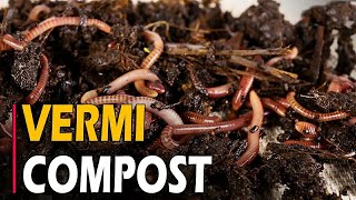 How to Make Vermicompost  How To make Vermicompost at Home From Kitchen Waste [upl. by Ellerehs]