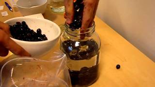 How to make Sloe Gin  Sloe Gin Recipe [upl. by Leuqram]