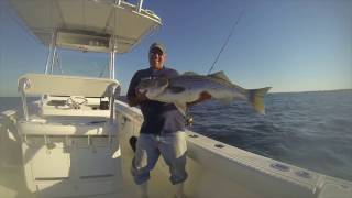 Striped Bass Fishing Rhode Island Block Island [upl. by Singer]