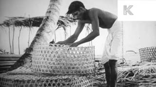 1930s Trinidad Bananda Plantation and Fishing [upl. by Navis361]