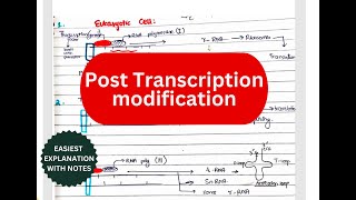 Posttranscriptional modification  Splicing Cap Tail Introns Exons RNA editing [upl. by Okiam]