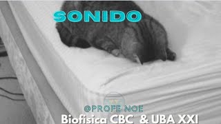 Ondas Sonido  Biofísica CBC amp UBA XXI [upl. by Bashemeth]