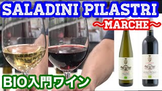 【ワイン】 SALADINI PILASTRI BIO入門ワイン テイスティング [upl. by Finstad85]