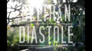 Beltran  Diastole Videoclip [upl. by Duwad]