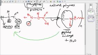 level 3 polymers [upl. by Gaskill]