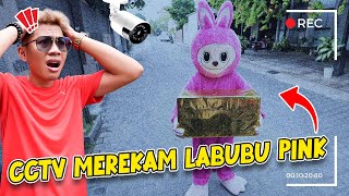 DIKIRA BOHONGAN CCTV MEREKAM JELAS LABUBU PINK MEMBAWA PAKET MISTERIUS KE RUMAH KITA [upl. by Reniti272]