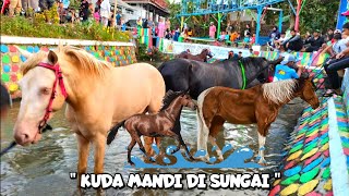 RAMAI SEKALI MELIHAT KUDA MANDI DI SUNGAI 🐴🦄🦓💦 [upl. by Staci]