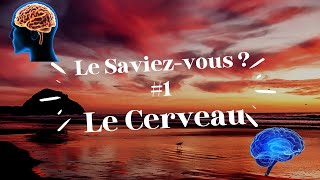 Le saviezvous  Ep1 Des Faits Incroyables Sur Le Cerveau Humain Qui Vont Vous Étonner  🧠 cerveau [upl. by Yeldahc]