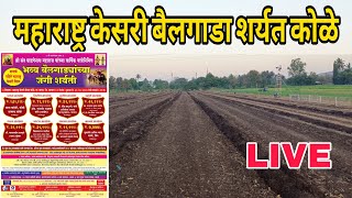 Maharashtra Kesari Bailgada Sharyat live  महाराष्ट्र केसरी बैलगाडा शर्यत कोळे BailgadaSharyatLive [upl. by Fleisher351]