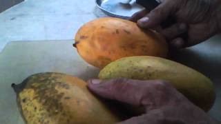 HOW TO FIND OUT  ORGANIC MANGOES VS CHEMICAL TREATED MANGOES [upl. by Norvall728]