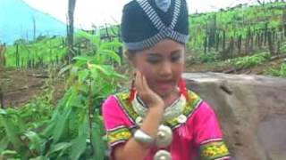 hmong song Malina laujampHuab sib Lauj [upl. by Srini]