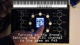 The NDLR  a PAD demo with easy to see and hear notes [upl. by Llemert22]