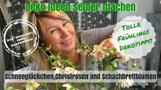 DIYDeko Ideen zum selber machen  kreative Christrosen Schneeglöckchen und Schachbrettblumen [upl. by Henning287]