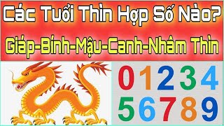 Tuổi THÌN Hợp SỐ Mấy Số May Mắn Hợp Với Người Tuổi Thìn Tuổi Thìn Hợp Số Nào Tử Vi 12 Con Giáp [upl. by Schoenburg]