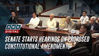 Senate starts hearings on proposed constitutional amendments  ANC [upl. by Kcirttap]