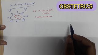 Mechanism of Labor in OccipitoPosterior Position [upl. by Nnylrefinnej]