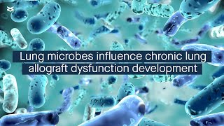 Chronic lung allograft dysfunction is linked to lung microbial community composition [upl. by Alexine]