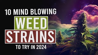 10 MUST TRY Cannabis Strains for 2024 [upl. by Dardani775]