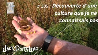 305  Découverte dune culture que je ne connaissais pas [upl. by Dnomhcir]