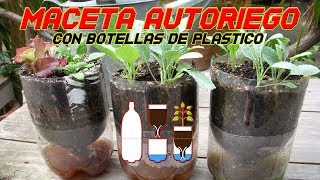 Maceta Autorriego  Riego Automático  Reciclar botella de Plástico PET  Cultivo Paso a Paso [upl. by Aizirk]