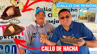 Diferencia entre callo de riñon y callo de hacha explicado por un Marisquero en Bahia de Kino [upl. by Ronald]