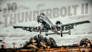 A10 Thunderbolt II in Action [upl. by Matilda5]